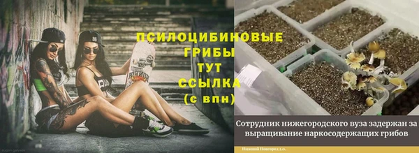 Альфа ПВП Абаза